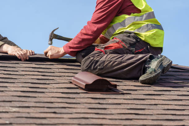 Best Storm Damage Roof Repair  in Steele, AL