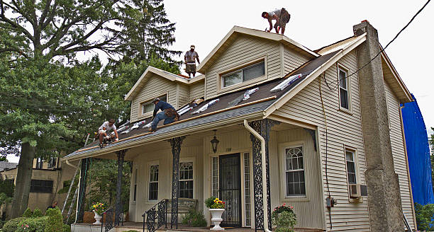 Gutter Installation and Roofing in Steele, AL