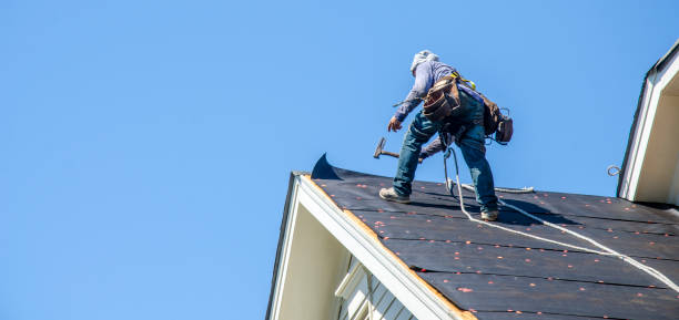 Best Roof Maintenance Services  in Steele, AL